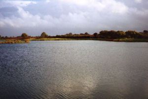 Bake Fishing Lakes