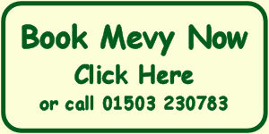 Mevy The GWR Victorian Slip Coach Booking Button